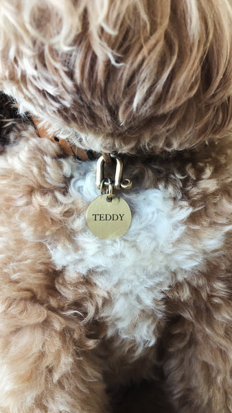 Personalised-dog-pet-ID-tag-brass
