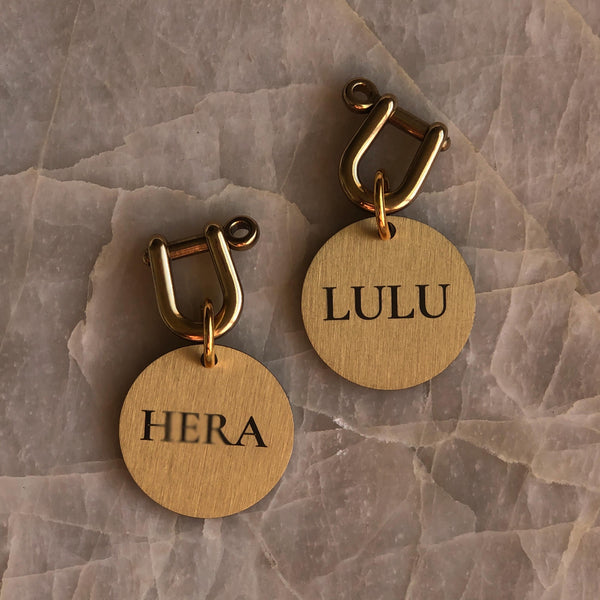 Custom engraved pet name tag with brass carabiner hook luxe pet accessories 